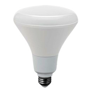 Lámpara LED BR30 14W 6500K