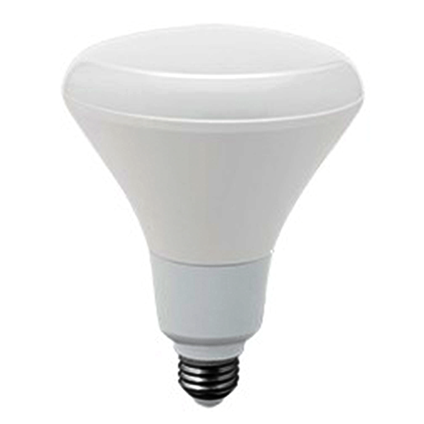 Lámpara LED BR30 14W 6500K